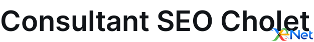 Consultant SEO Cholet